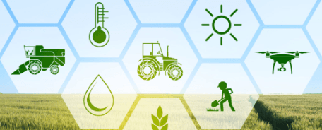 Blockchain for Agrifood Sustainability Project